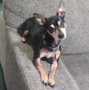 Meet your Posher, Hayden